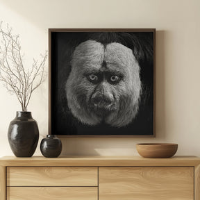 White-Faced Saki Poster