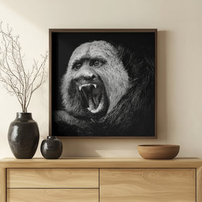 White-Faced Saki #2 Poster