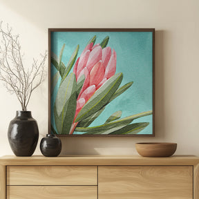 King Protea Poster