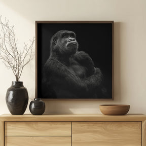 Gorilla Poster