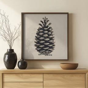 Pine Cone Poster