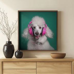 Dj Poodle Poster