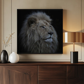 Proud Lion Poster