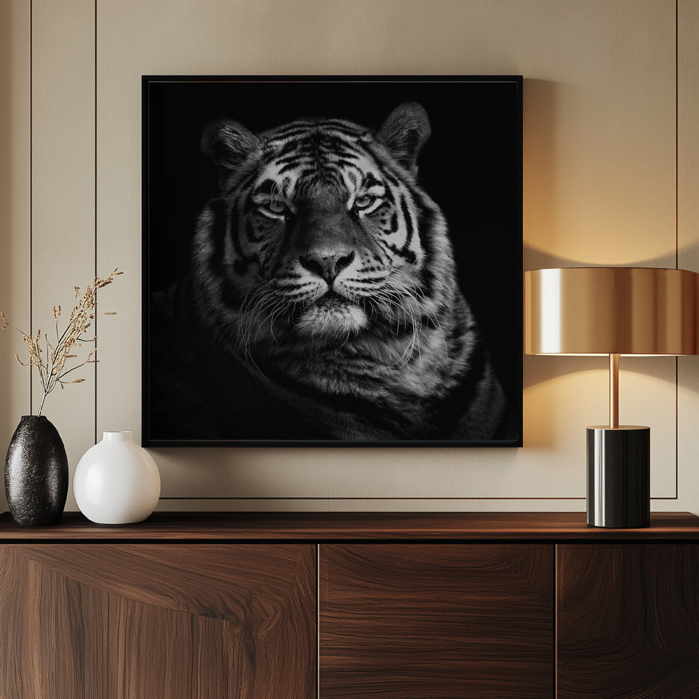 Tiger Poster