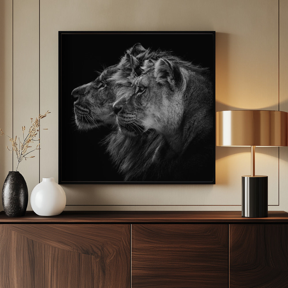 Lion and  lioness portrait Poster