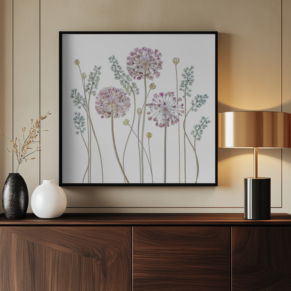 Allium Poster