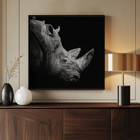 Rhino Poster