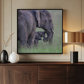 Elephant Family Poster