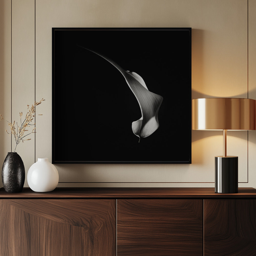 Hummingbird Abstraction (Calla Lily #3) Poster