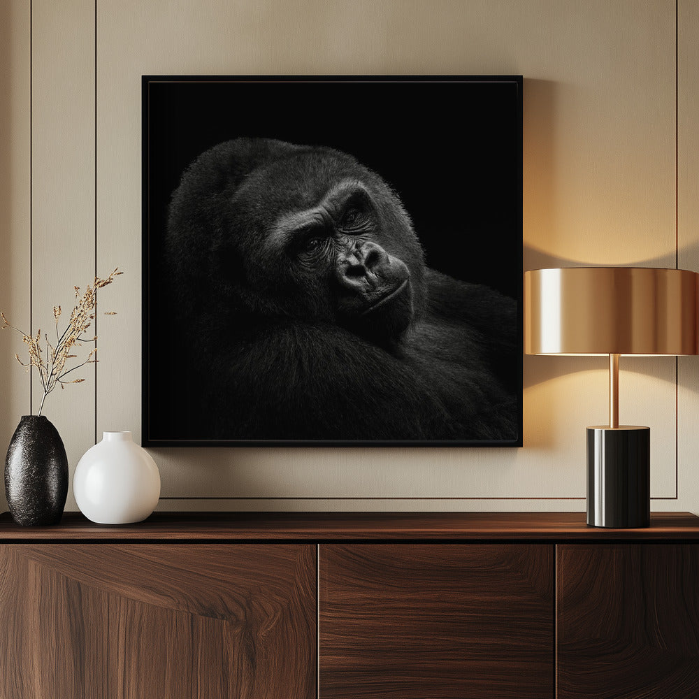 Gorilla Poster