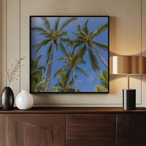 Lovely Palm Trees Poster