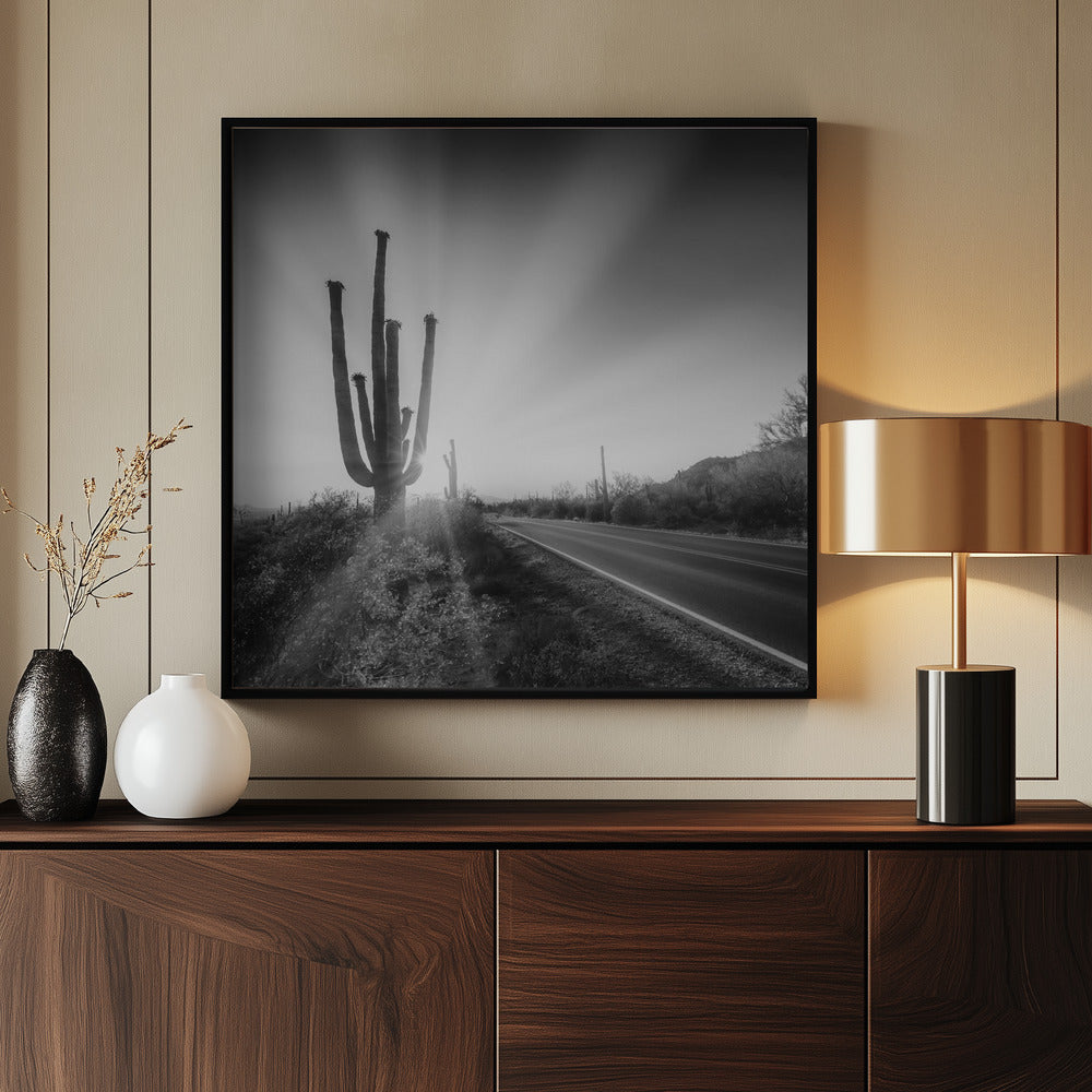 SAGUARO NATIONAL PARK Setting Sun | Monochrome Poster