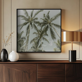 Lovely Vintage Palm Trees Poster