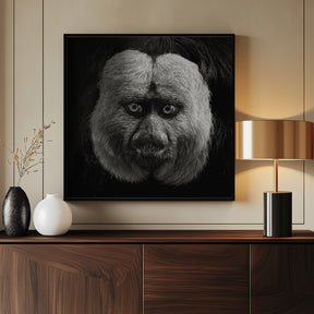 White-Faced Saki Poster