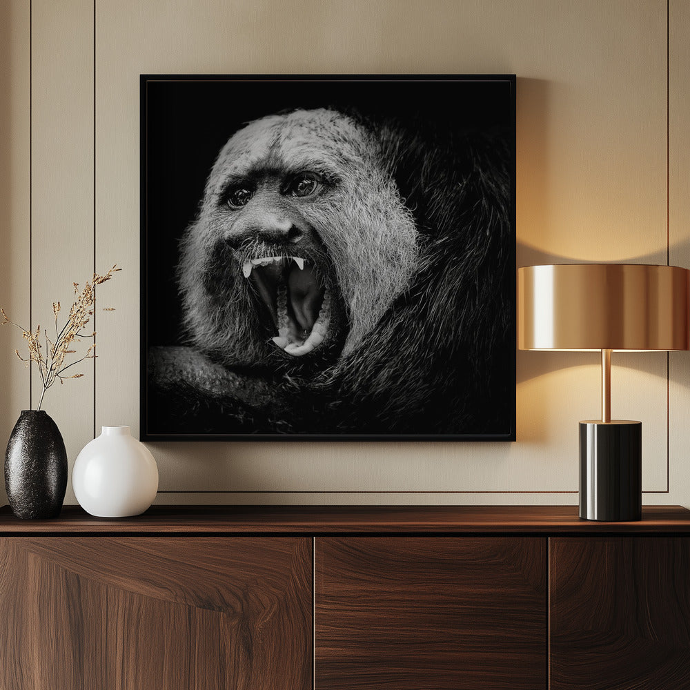 White-Faced Saki #2 Poster