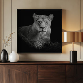 Lioness Poster