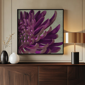 Chrysanthemum Purple Poster