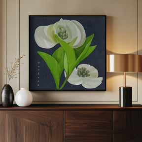 Dogwood Poster