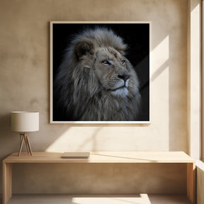 Proud Lion Poster