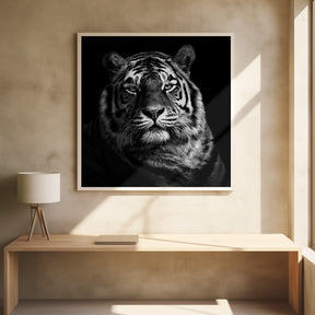 Tiger Poster