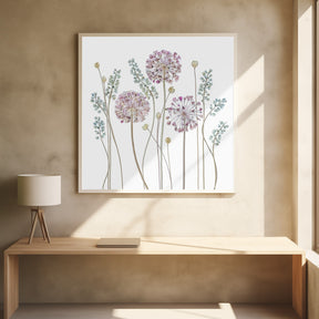 Allium Poster