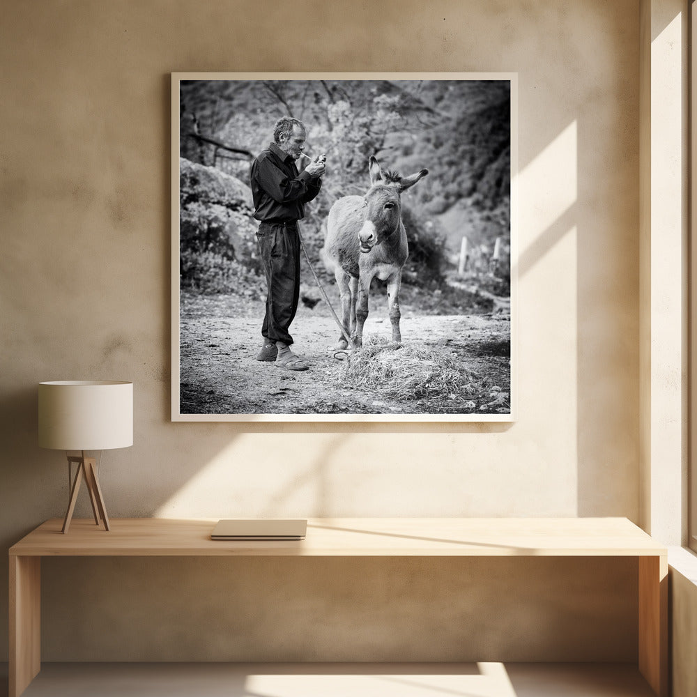 Vova and his donkey Poster