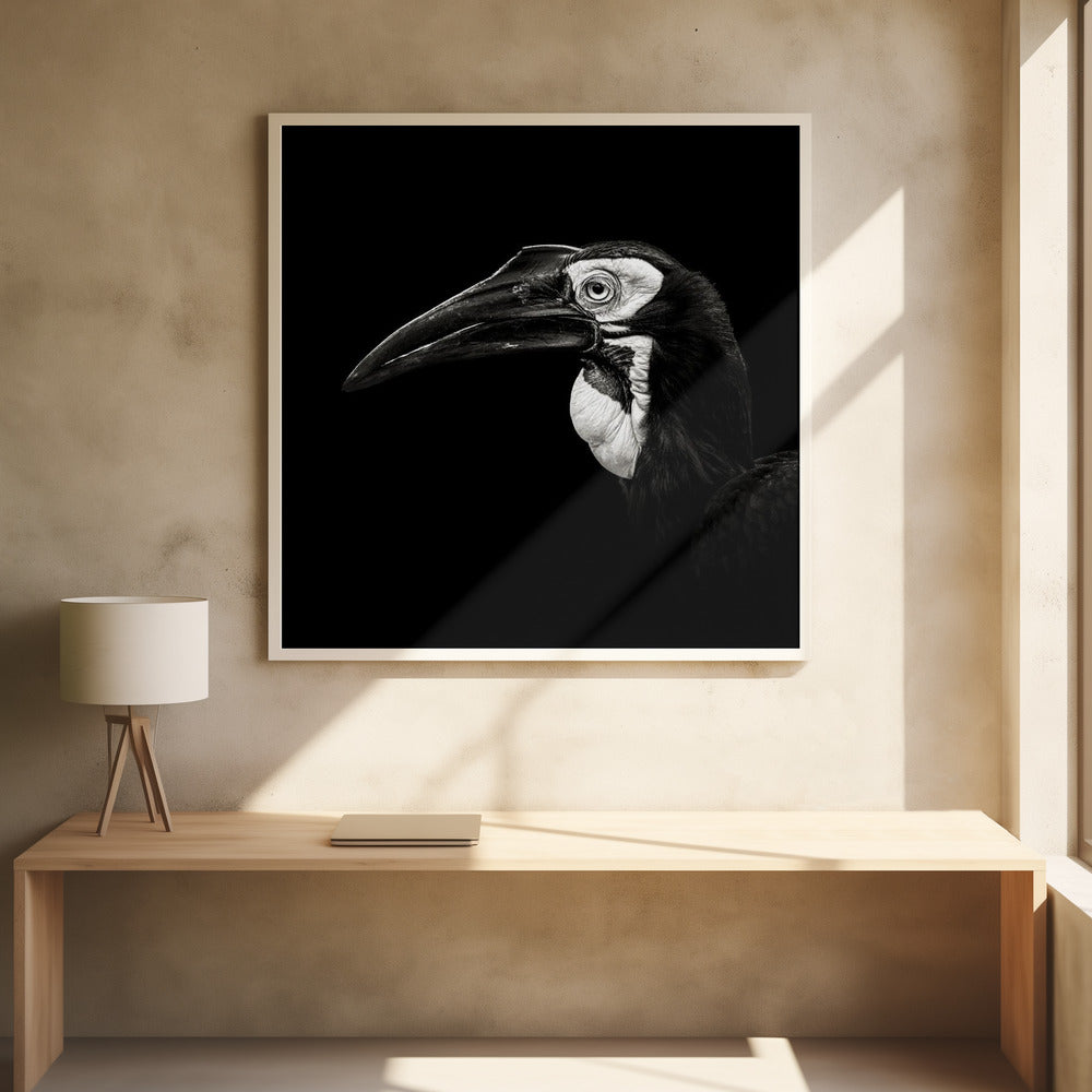 Southern Ground Hornbill Poster