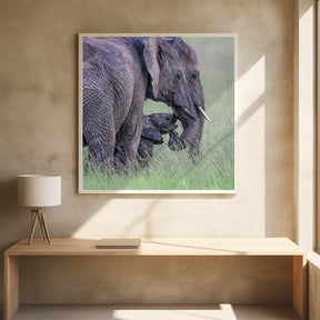 Elephant Family Poster