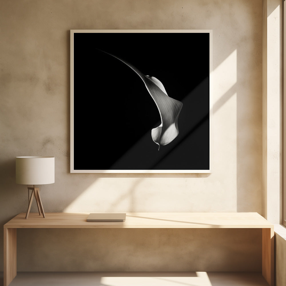 Hummingbird Abstraction (Calla Lily #3) Poster