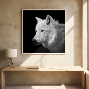 White Wolf #2 Poster