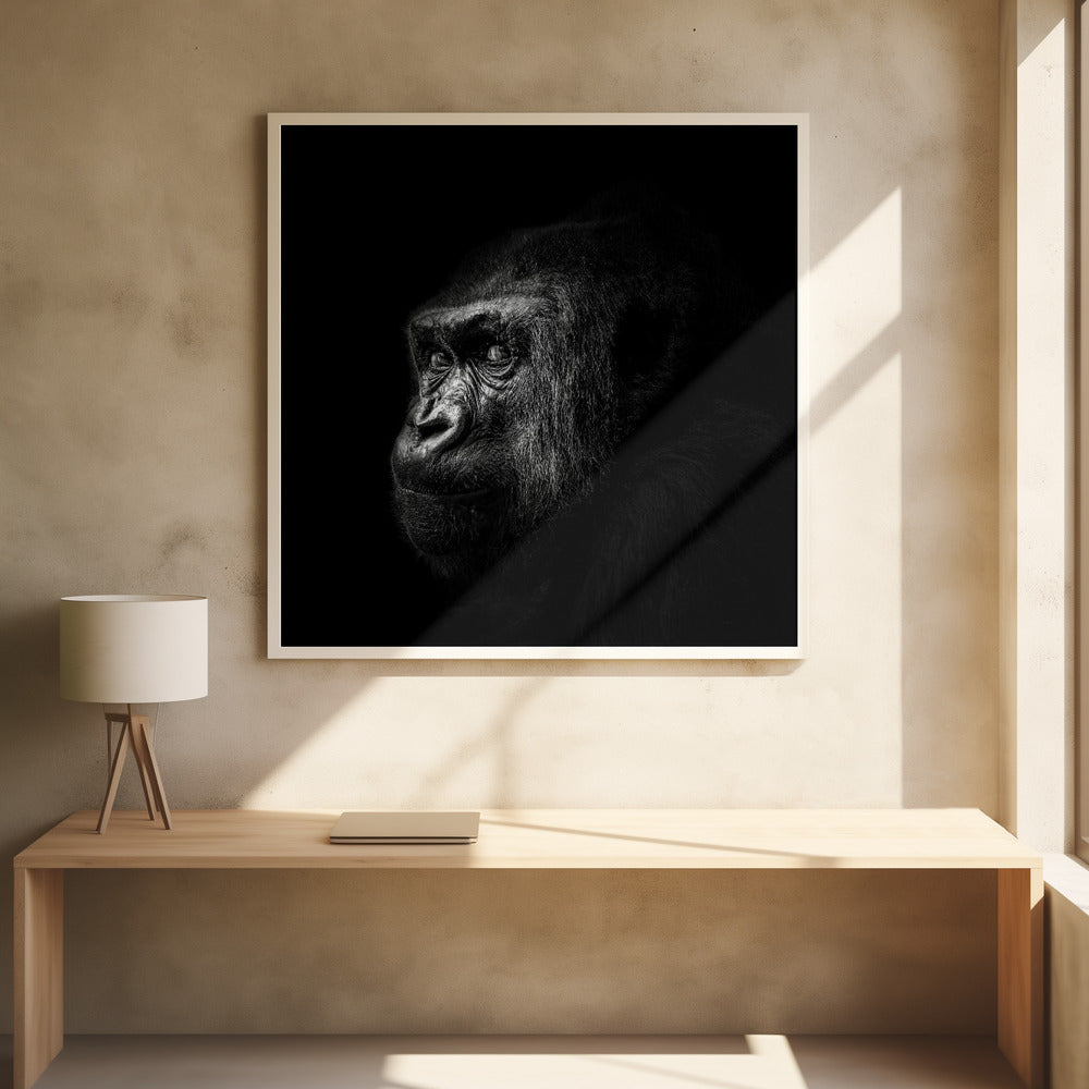 Gorilla Poster