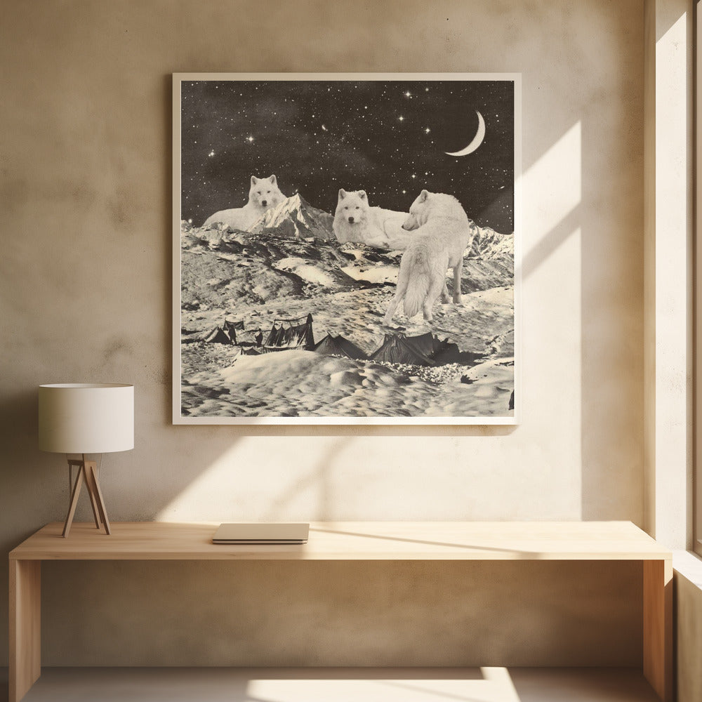 Giant White Wolves Poster