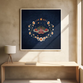 Butterfly Daisy Poster