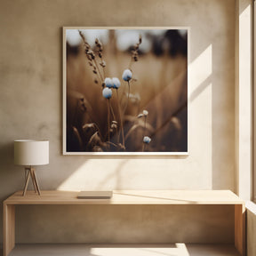 Blue Corn Flowers No 5 Poster