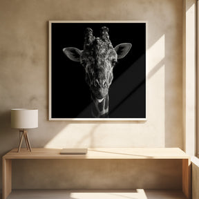 Cheeky Giraffe Poster