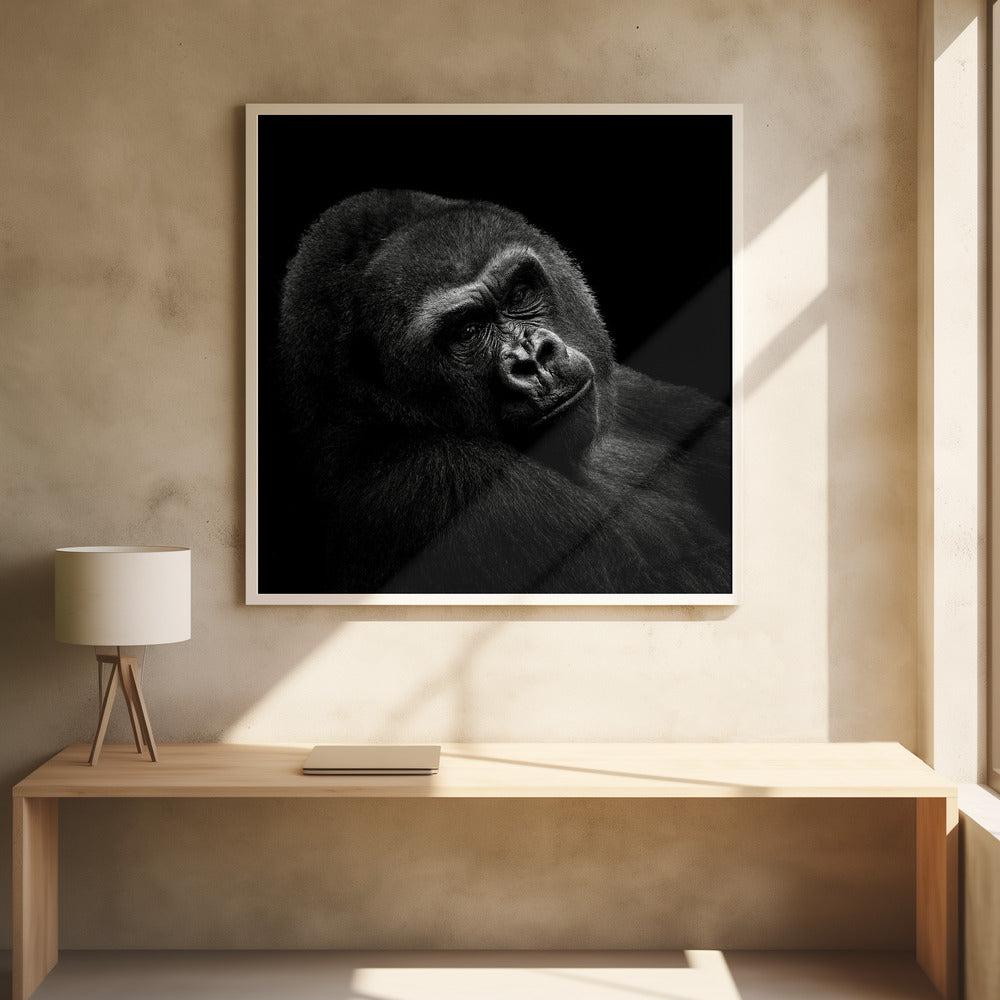 Gorilla Poster