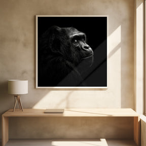 Gorilla Poster