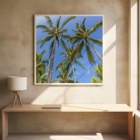 Lovely Palm Trees Poster