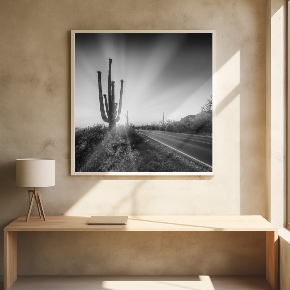 SAGUARO NATIONAL PARK Setting Sun | Monochrome Poster