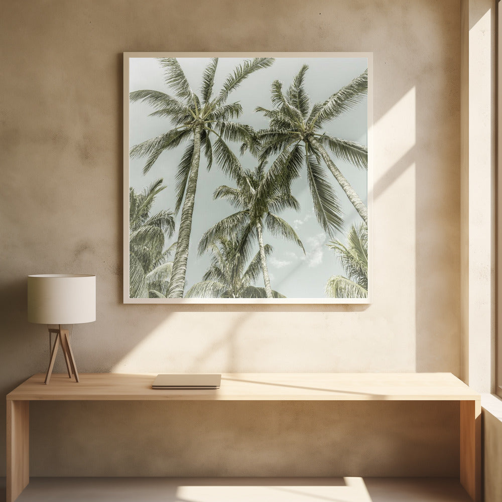 Lovely Vintage Palm Trees Poster