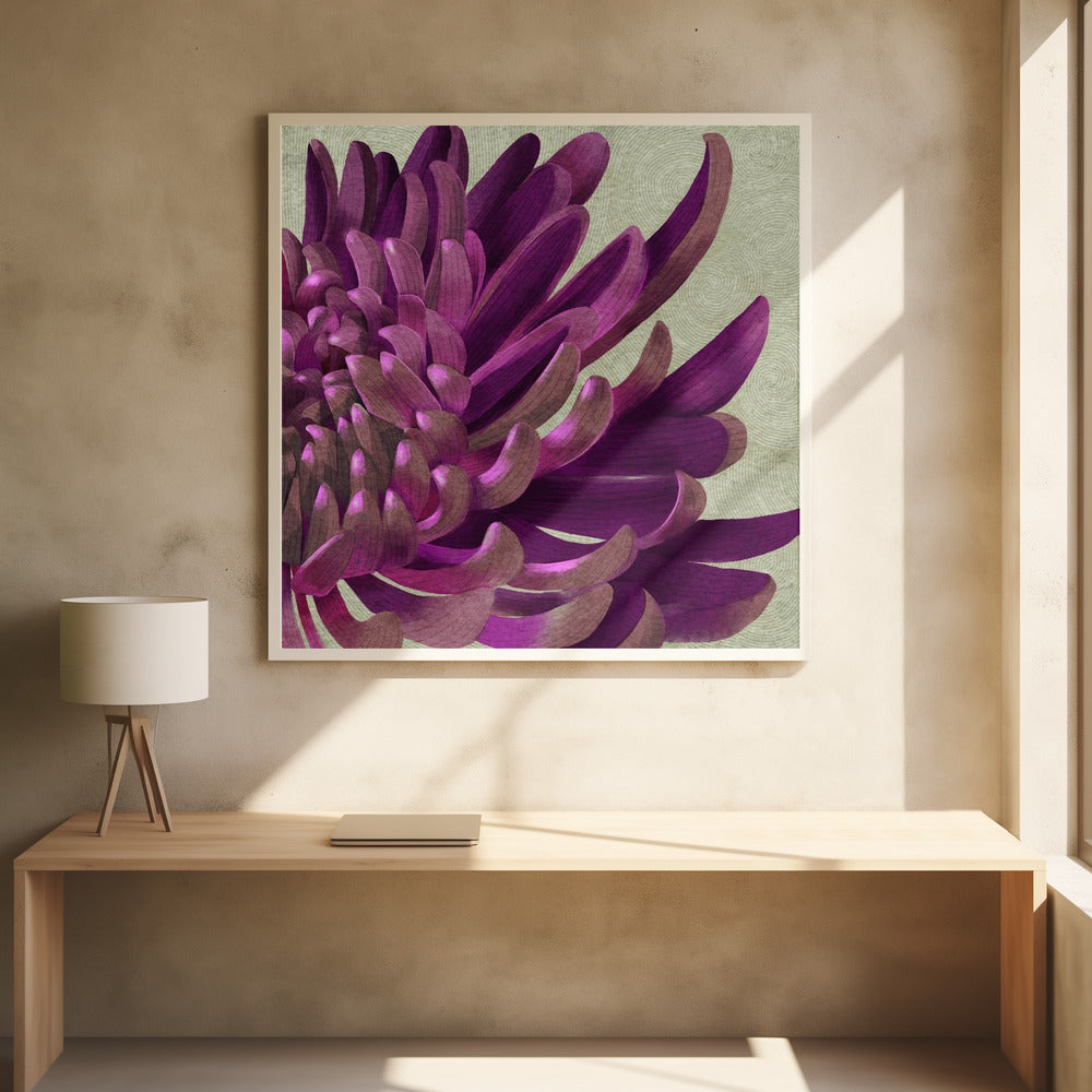 Chrysanthemum Purple Poster