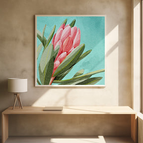 King Protea Poster