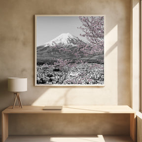 Charming view of Mount Fuji during cherry blossom season - colorkey Poster