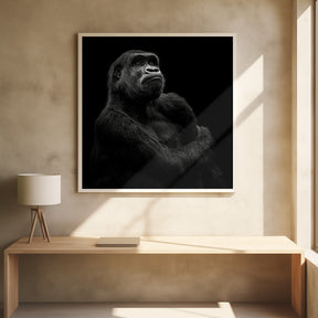 Gorilla Poster