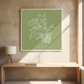 Acacia Botanical Branch Poster