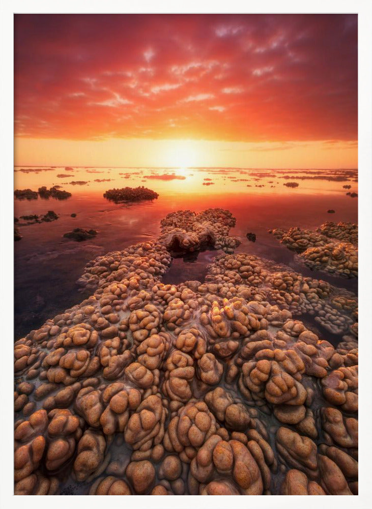 Low tide on the lagoon of Saint Leu. Poster