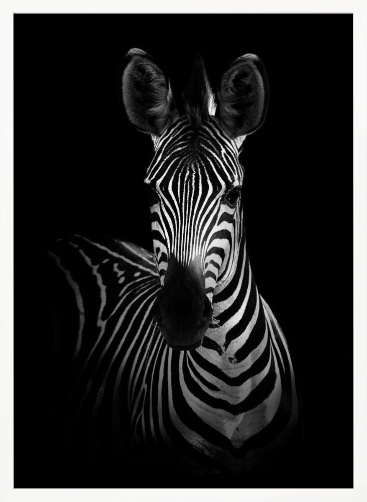 The Zebra Poster