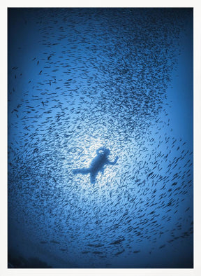 Diver and shoal of fish Poster