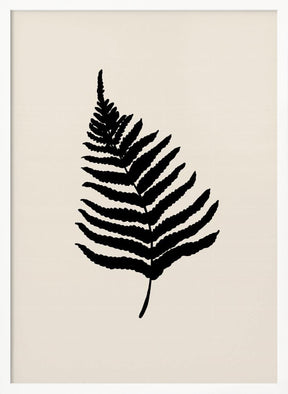 Fern Poster