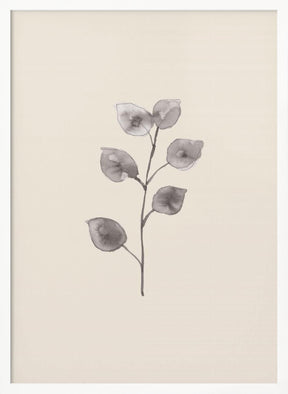 Eucalyptus Twig Poster